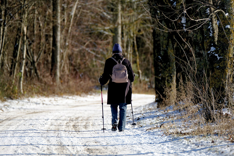 Walking durch einen Wald bei Schnee